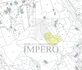 terreno agricolo in vendita a Ventimiglia