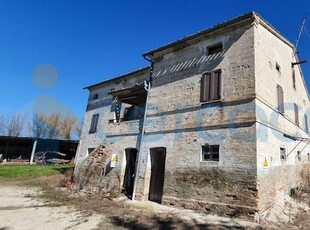 Azienda agricola in vendita a Treia