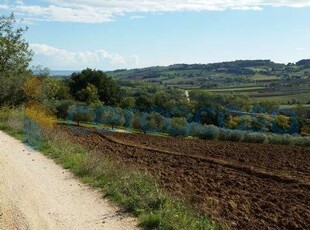 Terreno agricolo in vendita a Potenza Picena