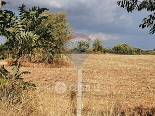 Terreno agricolo in Vendita in a Caltagirone
