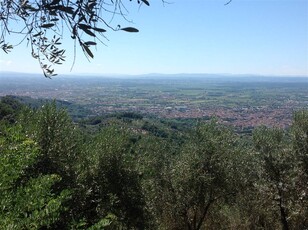 Vendita Terreno agricolo, MONTECATINI TERME