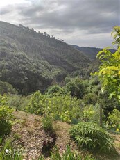 Villa a Dolceacqua