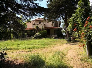 Azienda agricola in vendita a Palaia