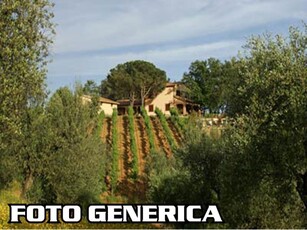 Azienda agricola in vendita a Peccioli