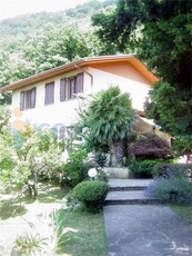 Casa semi indipendente in vendita in Greppolungo, Camaiore