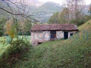 Casa singola da ristrutturare, in vendita in Strada Statale Del Tonale, Berzo Demo