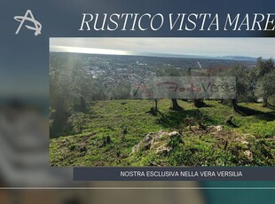 Rustico / casale di 115 mq a Pietrasanta