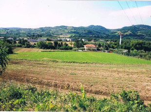 Terreno agricolo