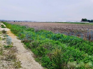 Terreno agricolo in vendita a Calcinaia