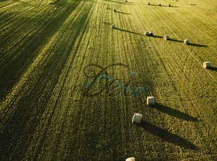 Terreno agricolo in vendita a Lunata