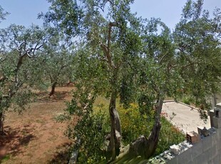 Terreno agricolo in vendita a Morciano Di Leuca