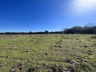 Terreno agricolo in vendita a Roma