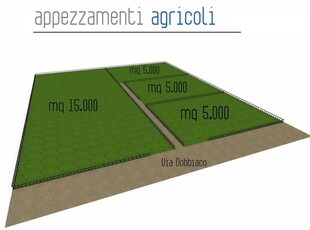 Terreno agricolo in vendita a Roma