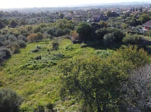 Terreno agricolo in vendita a San Pietro Clarenza