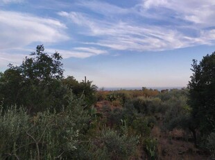 Terreno agricolo in vendita a San Pietro Clarenza