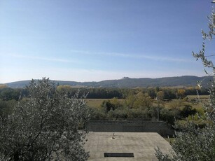 Terreno agricolo in vendita a Tuoro Sul Trasimeno