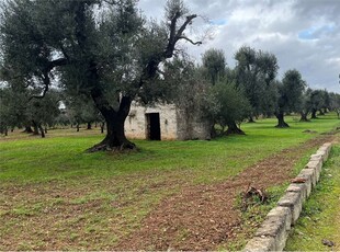 Terreno Edificabile a San Vito dei Normanni