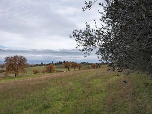 Terreno Edificabile Residenziale in vendita a Castiglione del Lago - Zona: Badia