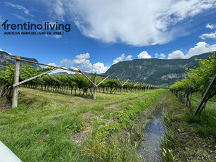 terreno residenziale in vendita a San Michele all'Adige