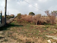 Terreno Agricolo in vendita a Grammichele c.Da Bisamore