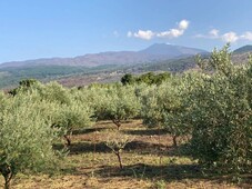Terreno Agricolo in vendita a Randazzo contrada sciarone-elce