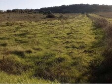 Terreno Agricolo in vendita ad Alghero