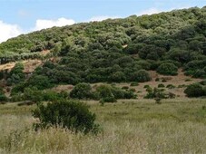 Terreno Agricolo in vendita ad Alghero