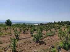Terreno Agricolo in vendita a Fiumefreddo di Sicilia via Feudogrande, 14