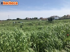 Vasto terreno agricolo ..