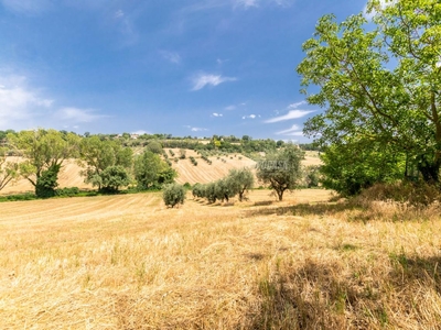Terreno agricolo in vendita a Civitanova Marche