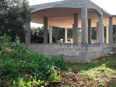 Villa nuova a Carovigno - Villa ristrutturata Carovigno