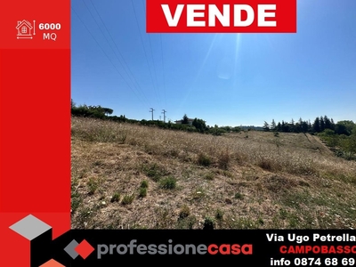 Terreno Agricolo in vendita a Campobasso