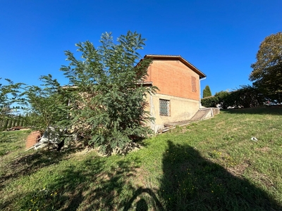 Rustico con giardino, Siena coroncina