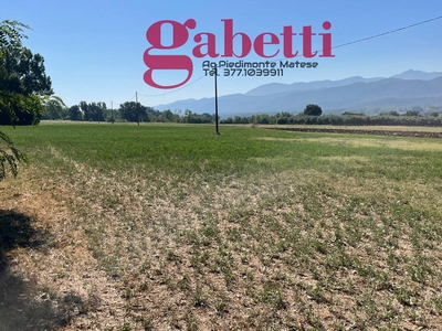 Terreno Agricolo in vendita a Raviscanina