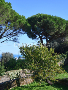 Trilocale vista mare in via dei pescatori 6, Ameglia