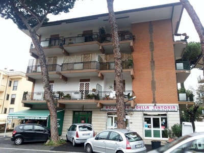 Appartamento in Vendita a Grottaferrata via santovetti 14