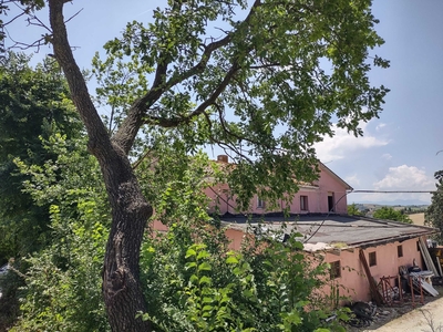 Casa indipendente in Vendita a Belvedere Ostrense Via Ponticelli