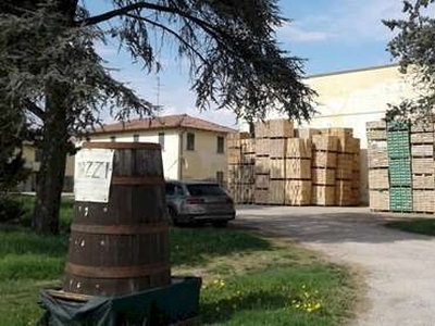Magazzino - Deposito in Affitto a Malalbergo via Castellina