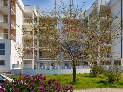 Quadrilocale a Bari, 2 bagni, giardino in comune, con box, 135 m²