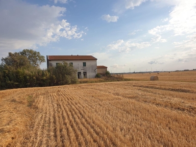 Rustico con giardino, Cascina arnaccio