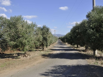 Rustico in Vendita a Ardea VALLE GAIA