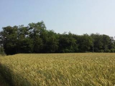 Terreno agricolo in Vendita a Albano Sant'Alessandro via tonale