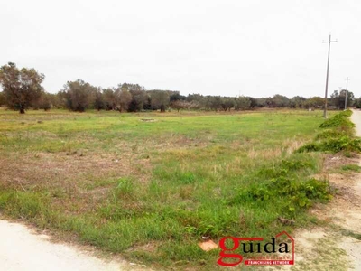 Terreno agricolo in Vendita a Matino