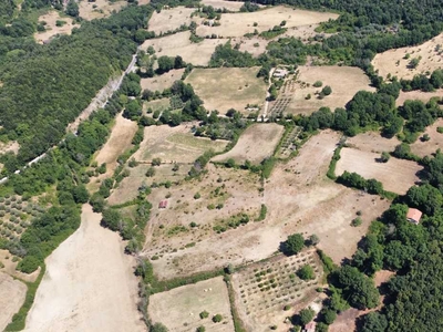 Terreno agricolo in Vendita a Montasola Via Tascione