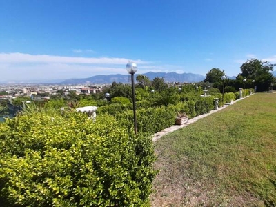 Terreno agricolo in Vendita a Sant'Antonio Abate via San Francesco