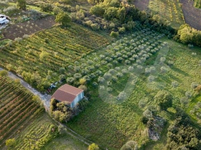 Terreno agricolo in Vendita a Torre Le Nocelle Via Bosco Piesco