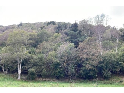 Terreno Agricolo/Coltura in vendita a Sormano, Frazione Pian Del Tivano, Via Piano del Tivano 8