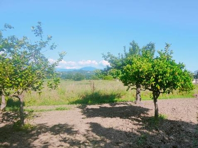 Terreno edificabile in Vendita a Casal Velino Via Rungi