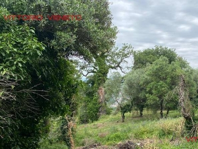 Terreno edificabile in Vendita a Laureana Cilento Viale San Martino