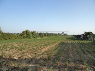 Terreno edificabile in Vendita a Villanova di Camposampiero Via Cornara